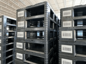 barcode and qr code labels
