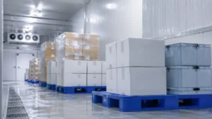 waterproof plastic pallets for cold storage warehouse and hygienic food logistics